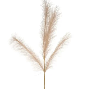 Attitudes Import Beige Feathers Stem - Illuminated* Dried Stems & Flowers