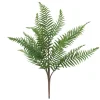 Attitudes Import 2 Bouquet Of Fern* Greenery