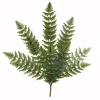 Attitudes Import 2 Branch Of Fern* Greenery