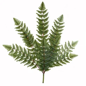 Attitudes Import 2 Branch Of Fern* Greenery