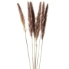 Gift Craft Brown Feathers Steams - 28"* Dried Stems & Flowers