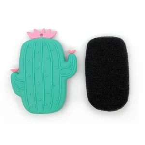 Ricardo Brush & Sponge - Cactus* Maintenance & Cleaning