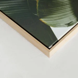 Kozy X Oleka Canvas - Banana Tree* Canvases