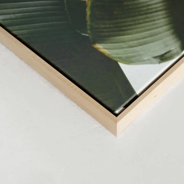 Kozy X Oleka Canvas - Banana Tree* Canvases