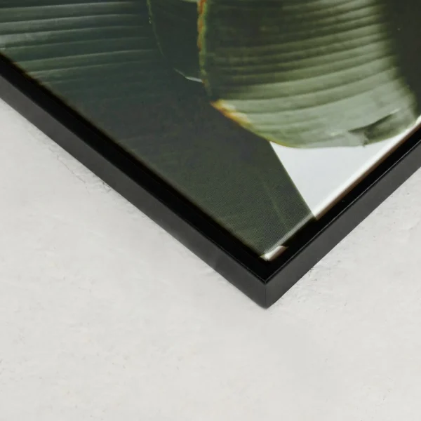 Kozy X Oleka Canvas - Banana Tree* Canvases