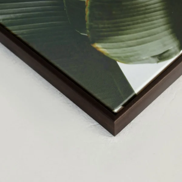 Kozy X Oleka Canvas - Banana Tree* Canvases