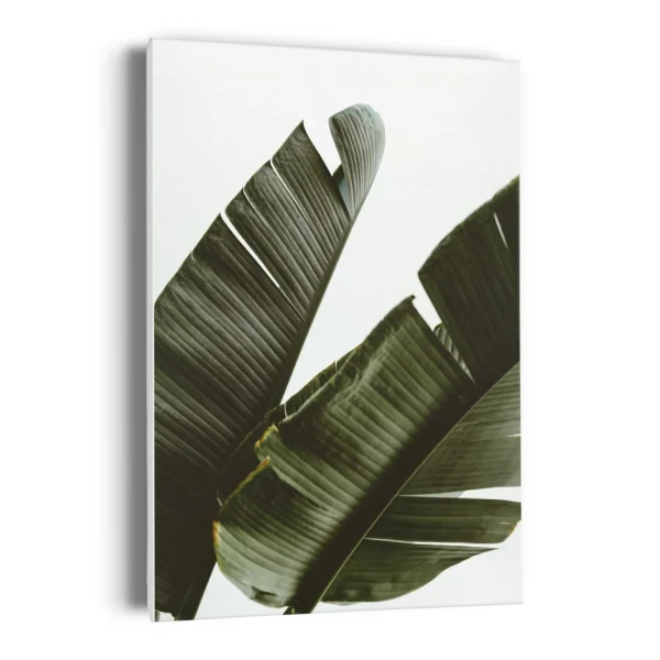 Kozy X Oleka Canvas - Banana Tree* Canvases