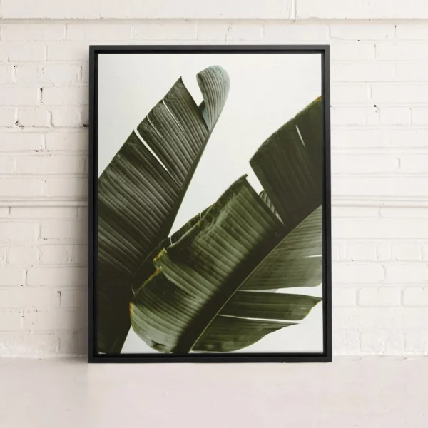 Kozy X Oleka Canvas - Banana Tree* Canvases