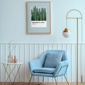 Oleka Canvas Canvas - Cactus* Canvases
