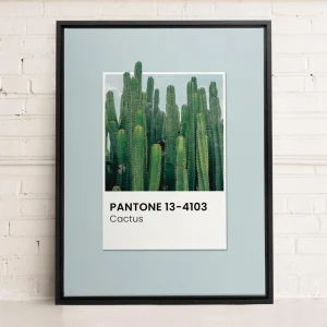 Oleka Canvas Canvas - Cactus* Canvases