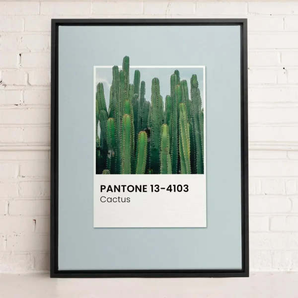 Oleka Canvas Canvas - Cactus* Canvases
