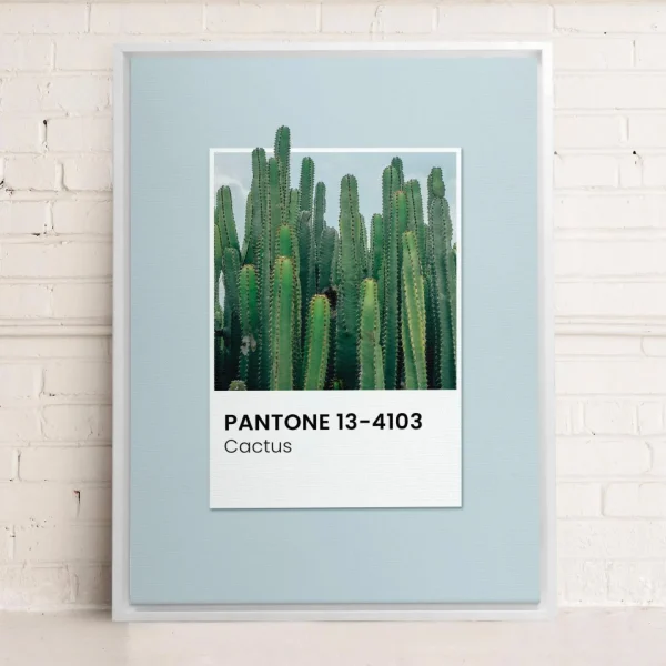 Oleka Canvas Canvas - Cactus* Canvases