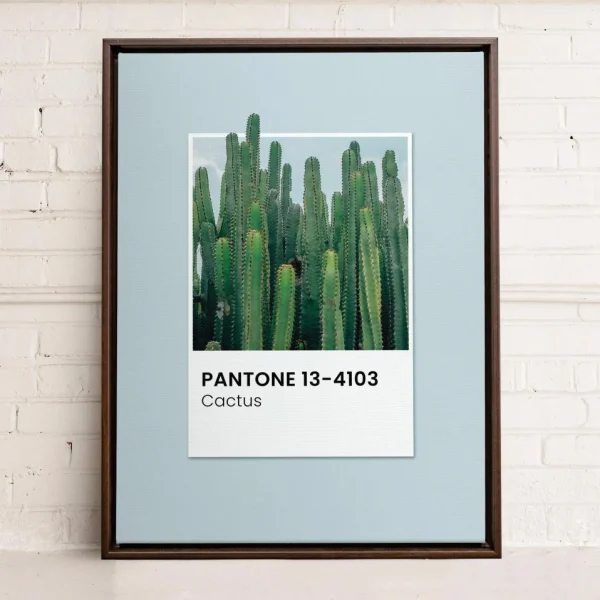 Oleka Canvas Canvas - Cactus* Canvases