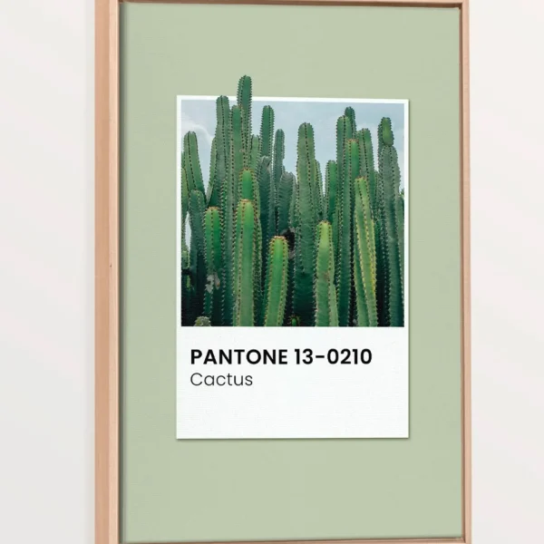 Oleka Canvas Canvas - Cactus* Canvases