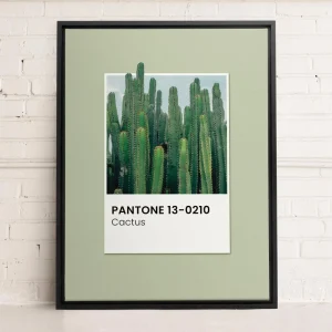Oleka Canvas Canvas - Cactus* Canvases