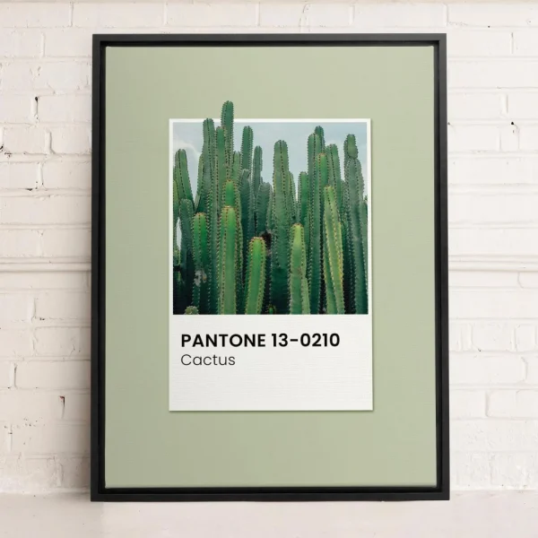 Oleka Canvas Canvas - Cactus* Canvases