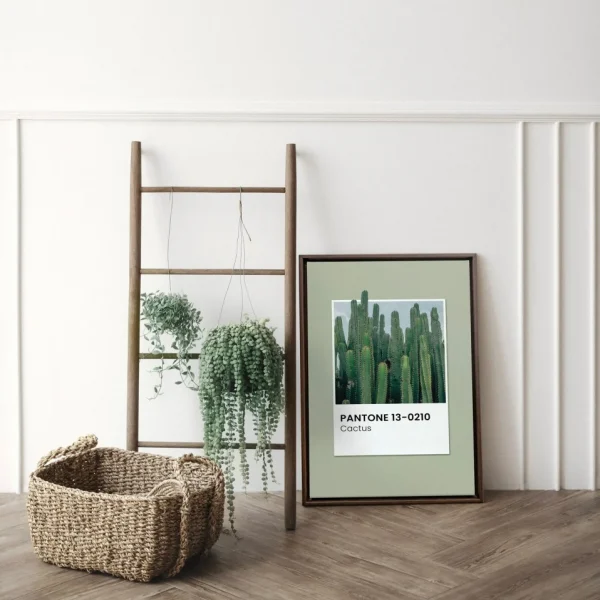 Oleka Canvas Canvas - Cactus* Canvases