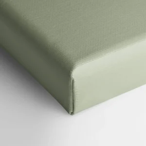 Oleka Canvas Canvas - Cactus* Canvases