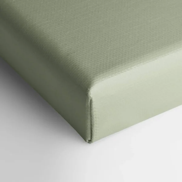 Oleka Canvas Canvas - Cactus* Canvases
