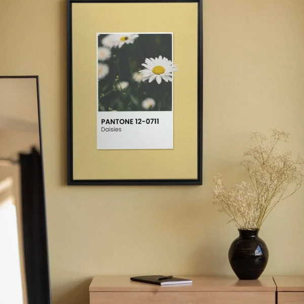 Oleka Canvas Canvas - Daisies* Canvases