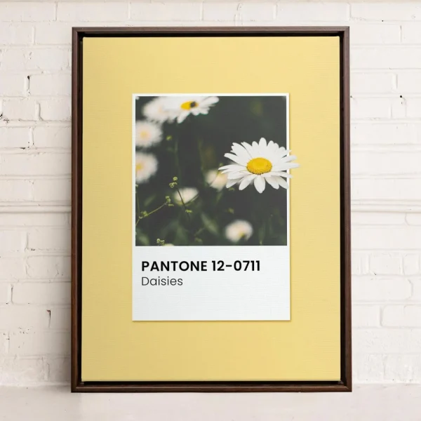 Oleka Canvas Canvas - Daisies* Canvases