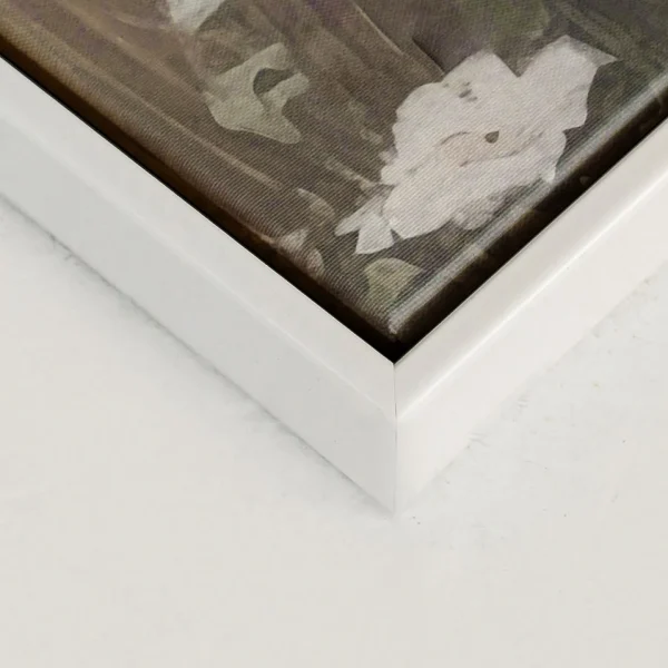 Oleka Canvas Canvas - Delicate Blooms* Canvases
