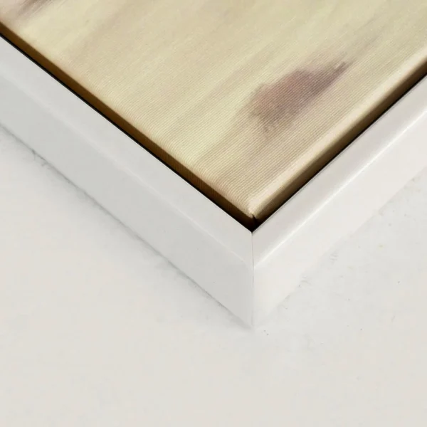 Oleka Canvas Canvas - Desert* Canvases
