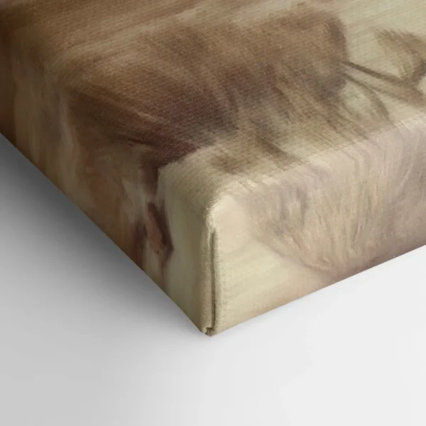 Oleka Canvas Canvas - Desert* Canvases
