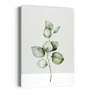 Kozy X Oleka Canvas - Eucalyptus* Canvases