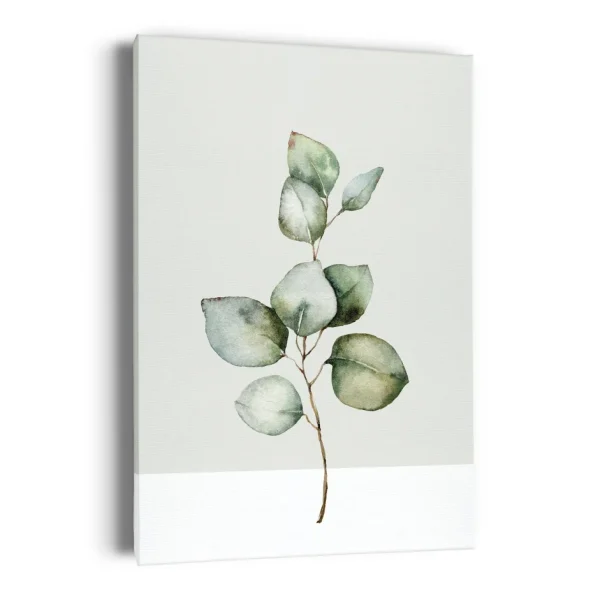 Kozy X Oleka Canvas - Eucalyptus* Canvases
