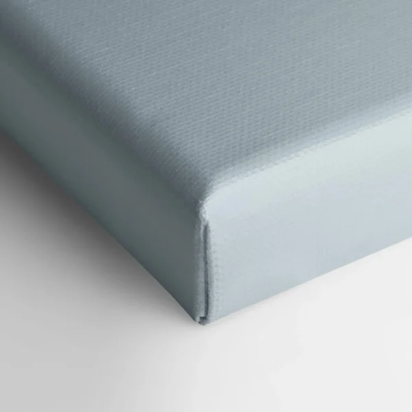Oleka Canvas Canvas - Evanescence* Canvases