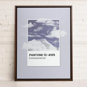 Oleka Canvas Canvas - Evanescence* Canvases