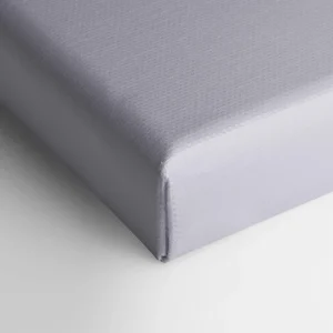 Oleka Canvas Canvas - Evanescence* Canvases