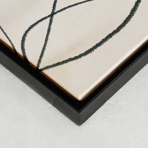 Oleka Canvas Canvas - Extinction* Canvases