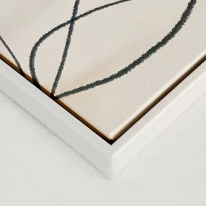 Oleka Canvas Canvas - Extinction* Canvases