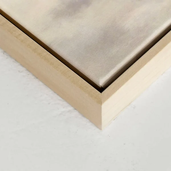Oleka Canvas Canvas - Frost* Canvases