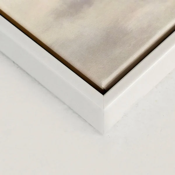 Oleka Canvas Canvas - Frost* Canvases