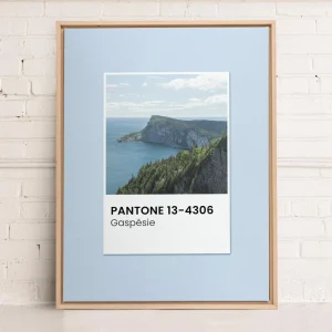 Oleka Canvas Canvas - Gaspesie* Canvases
