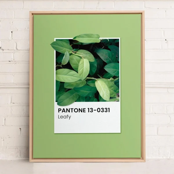 Oleka Canvas Canvas - Leafy* Canvases