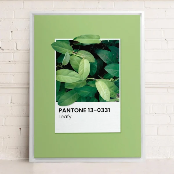 Oleka Canvas Canvas - Leafy* Canvases