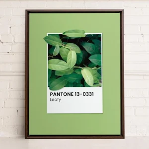 Oleka Canvas Canvas - Leafy* Canvases
