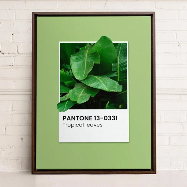 Oleka Canvas Canvas - Leaves* Canvases