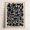 Oleka Canvas Canvas - Lippia* Canvases
