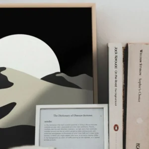 Oleka Canvas Canvas - Moon Duality* Canvases