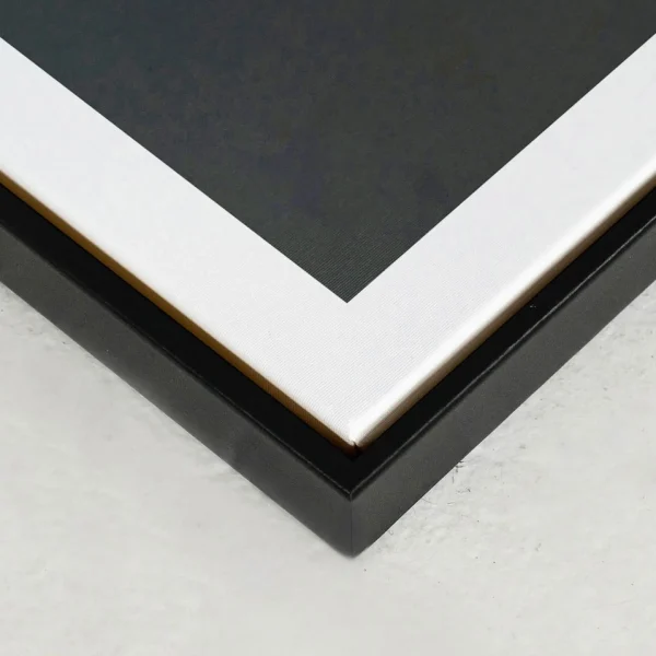 Oleka Canvas Canvas - Moon Duality* Canvases
