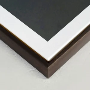 Oleka Canvas Canvas - Moon Duality* Canvases