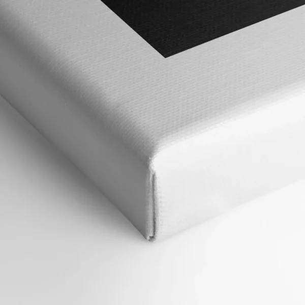 Oleka Canvas Canvas - Moon Duality* Canvases
