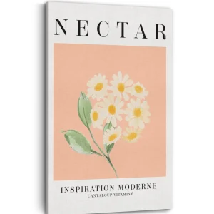 Kozy X Oleka Canvas - Nectar* Canvases