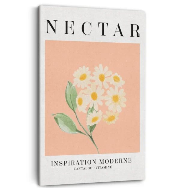 Kozy X Oleka Canvas - Nectar* Canvases