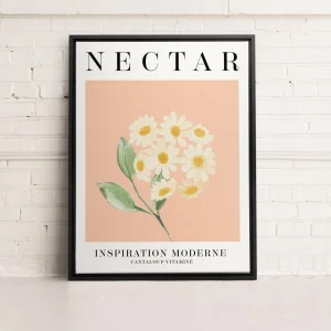 Kozy X Oleka Canvas - Nectar* Canvases